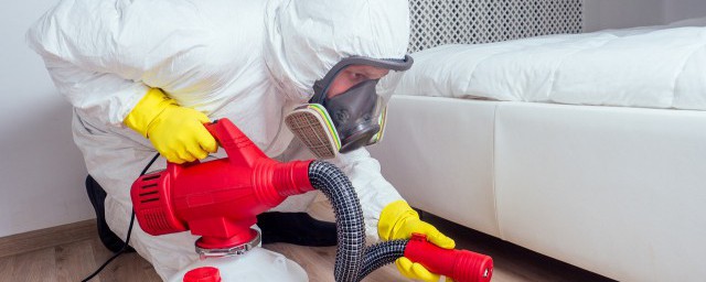 家里不脏为什么有蜘蛛 家里为什么有蜘蛛