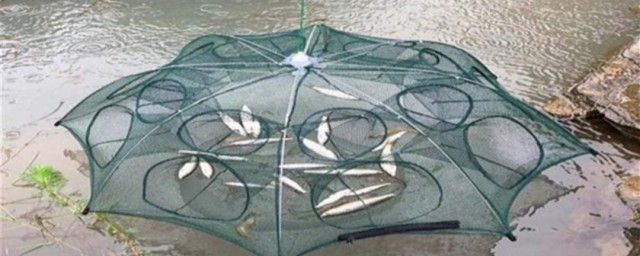 只进不出鱼笼原理是什么 只进不出鱼笼原理 只进不出鱼笼原理是什么 只进不出鱼笼原理