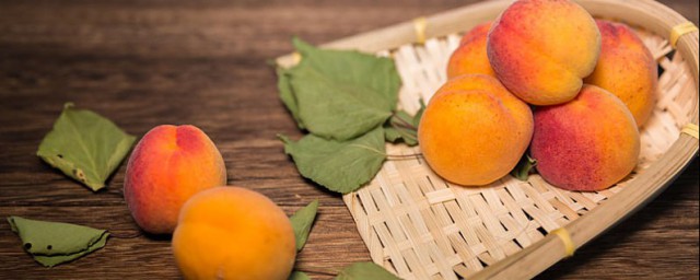 梦见杏树结了好多黄杏 梦见杏子是好还是坏