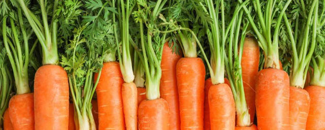 胡萝卜咸菜怎么腌好吃 如何做胡萝卜咸菜