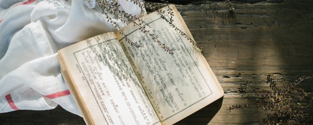 一毛片甲是什么意思 一毛片甲解释及出处