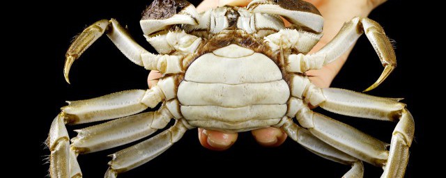 蟹可以放冰箱冷藏室多久 蟹放冰箱可以保存多久 蟹可以放冰箱冷藏室多久 蟹放冰箱可以保存多久