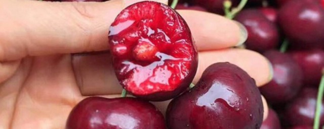 车厘子单j双j3j是什么意思 车厘子几j指的是什么