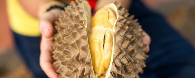 榴莲肉没熟怎么办 购买的榴莲肉没熟怎么办 榴莲肉没熟怎么办 购买的榴莲肉没熟怎么办