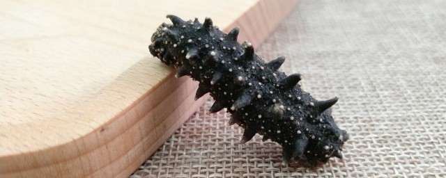 底播海参和野生海参区别 底播海参和野生海参有什么区别