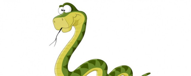 投石问路是什么动物 投石问路是啥动物