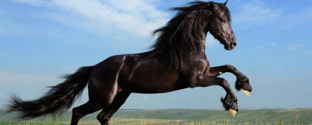 一举成名福无边是什么生肖 一举成名福无边是啥生肖