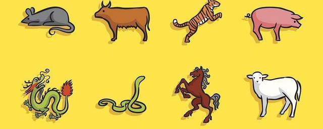 灯火阑珊打一生肖 鸡介绍