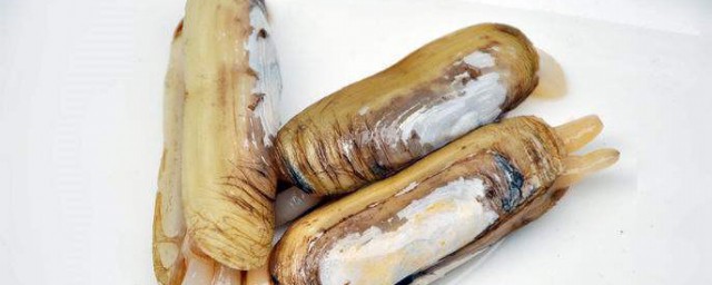 蛏子直接冷冻还是煮熟冷藏 蛏子如何保存