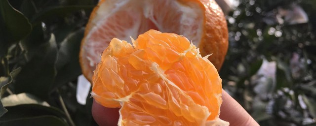 沃柑是凉性的还是热性的 关于沃柑的食物属性