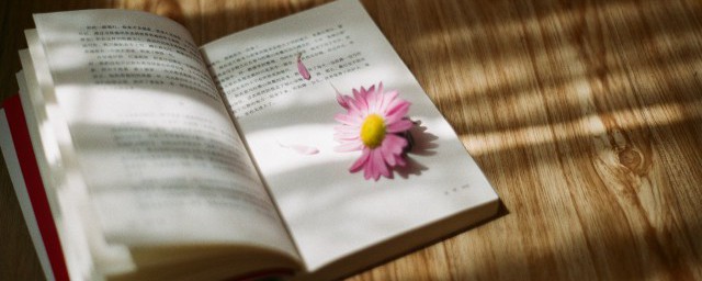 俯沖怎么读 俯沖的含义