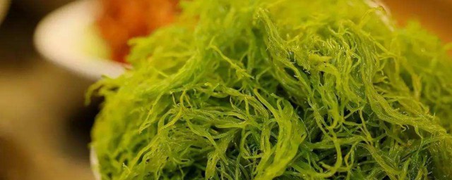 海草是海鲜吗 海草相关介绍