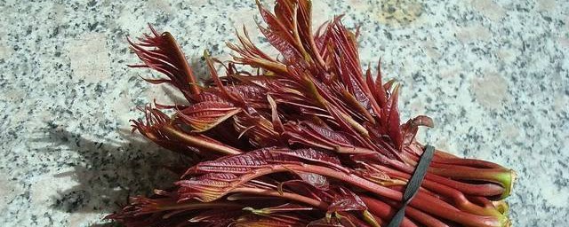 吃什么寓意什么 吃什么食物寓意好