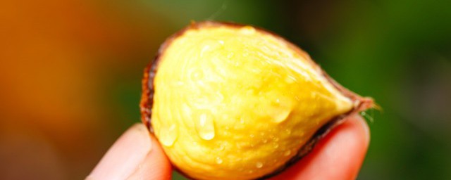 板栗和柿子能一起吃吗 可以一起吃板栗和柿子吗