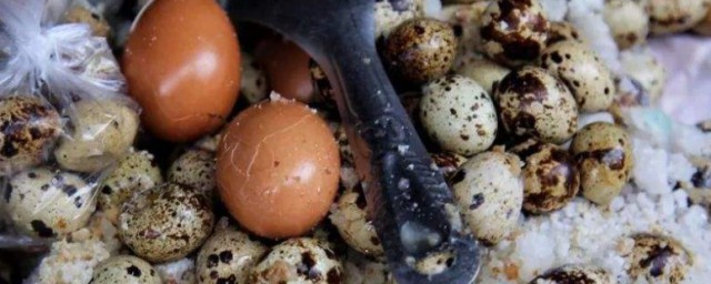 盐焗蛋的家常做法 盐焗蛋的家常做法介绍 盐焗蛋的家常做法 盐焗蛋的家常做法介绍