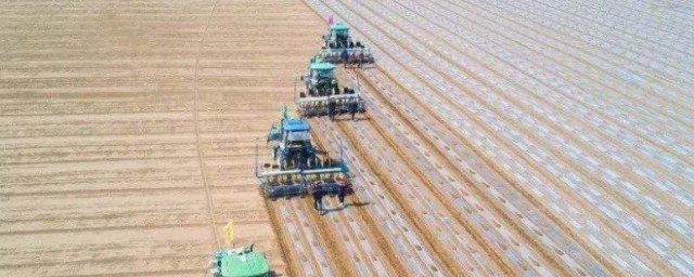 膜上播种优缺点 膜上播种有如下好处和坏处