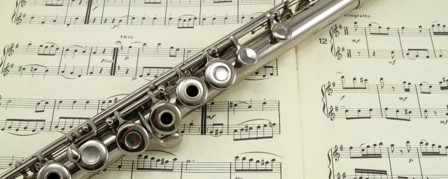 飞蛾扑火歌词许嵩 许嵩飞蛾扑歌曲