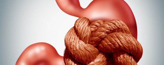 长期吃什么养胃 长期吃什么食物养胃