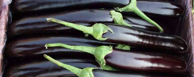 茄子能冷冻吗怎样冷冻 如何冷冻茄子