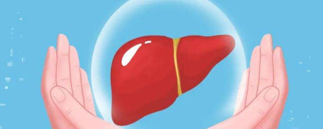 春季养肝护肝正当时 春季养肝护肝的方法