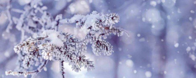 小雪有什么风俗活动 小雪有啥风俗活动