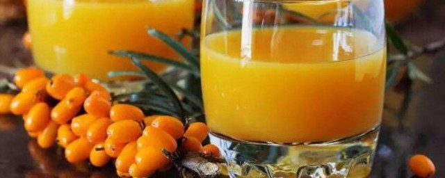 沙棘什么人不适合吃 哪些人不适合吃沙棘