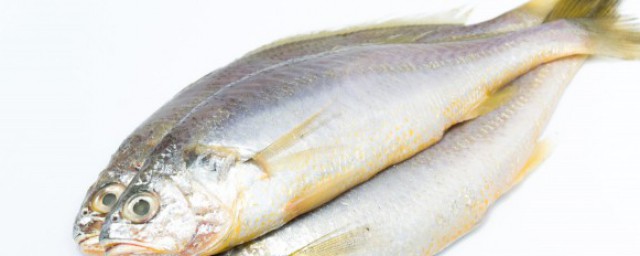 糖醋黄鱼怎么烧 糖醋黄鱼如何烧