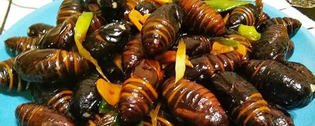 茧蛹怎么炒 茧蛹应该怎么炒