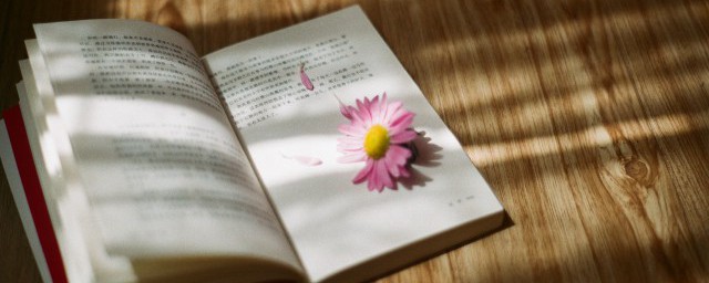 瞬组词和拼音 瞬组词和拼音有哪些