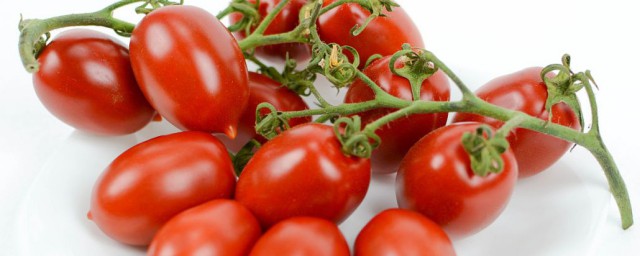 圣女果要怎么挑选 圣女果的挑选方法 圣女果要怎么挑选 圣女果的挑选方法