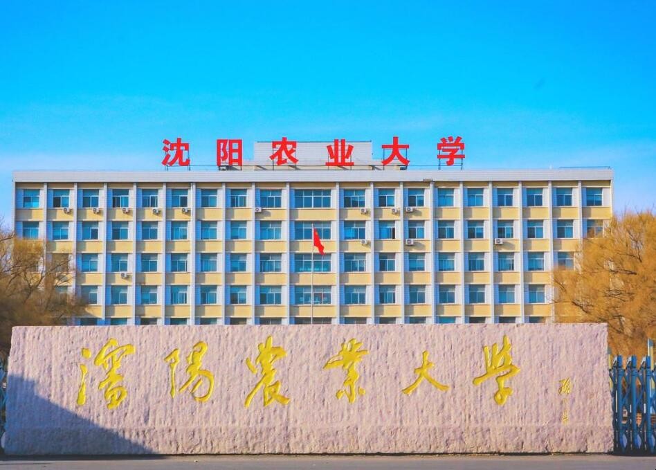 沈阳农业大学占地面积是多少