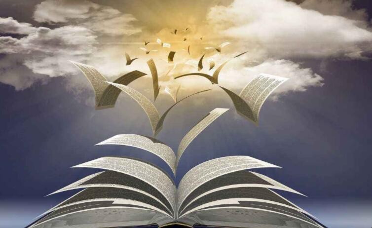 我喜爱的职业作文怎么写