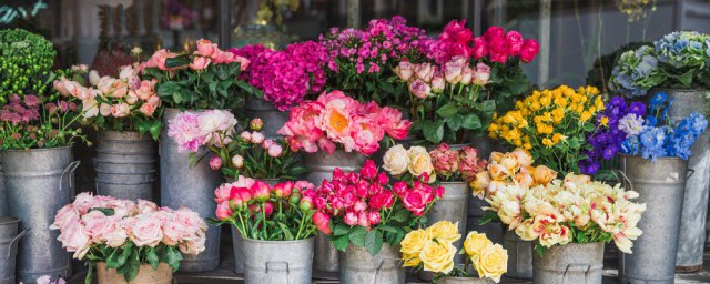 切花怎么保持新鲜 切花保持新鲜的妙招