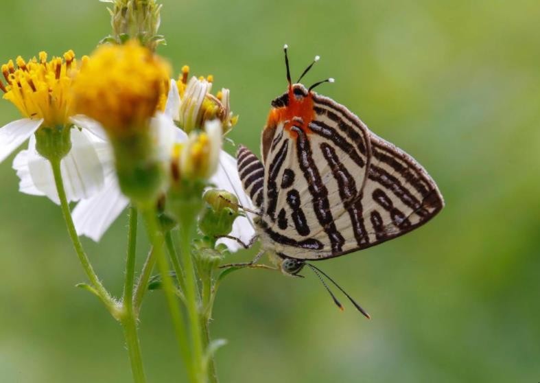 大自然的奥秘有哪些