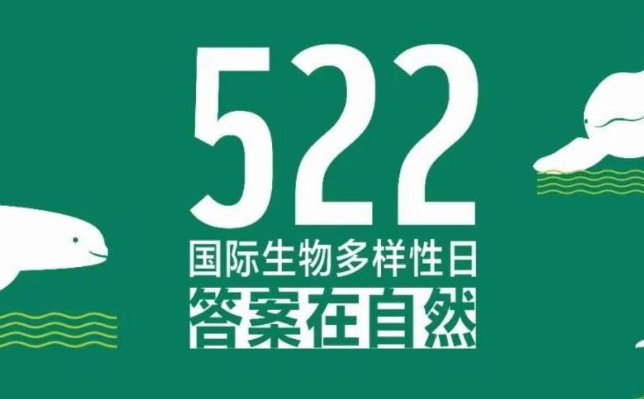 国际生物多样性日发展历史有哪些