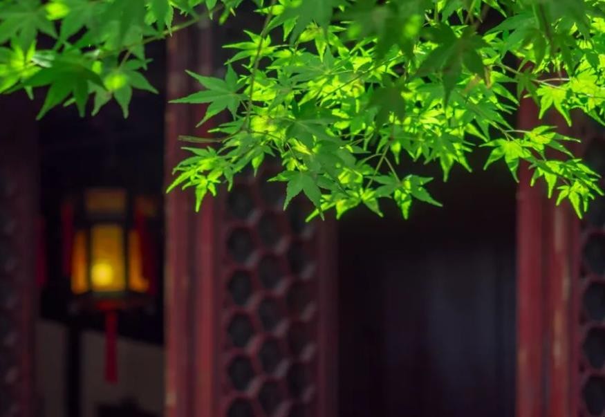 似曾相识的意思是什么