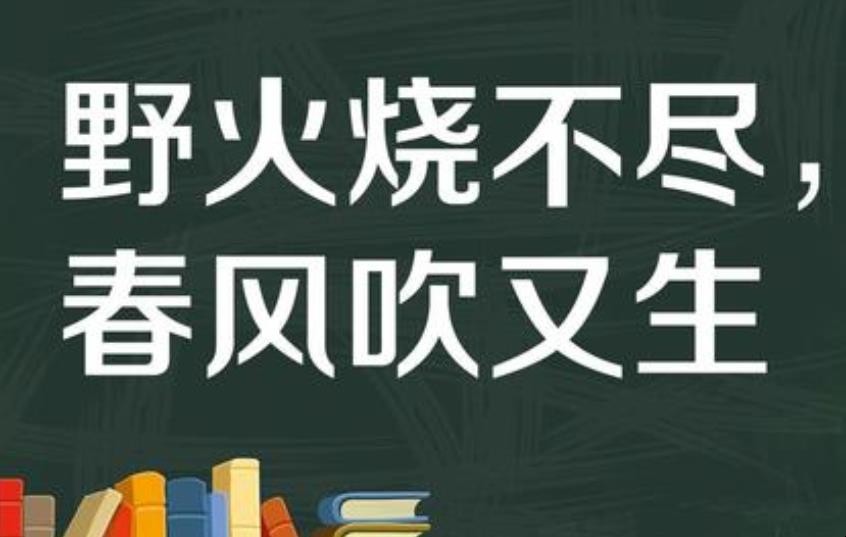 野火烧不尽春风吹又生的意思是什么