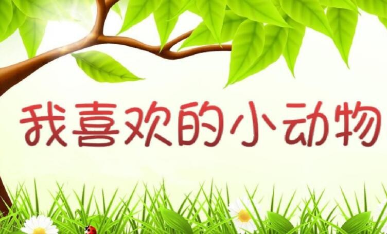 我喜欢的小动物作文怎么写