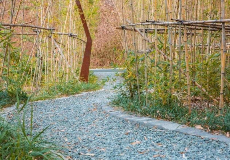 掩映的意思是什么