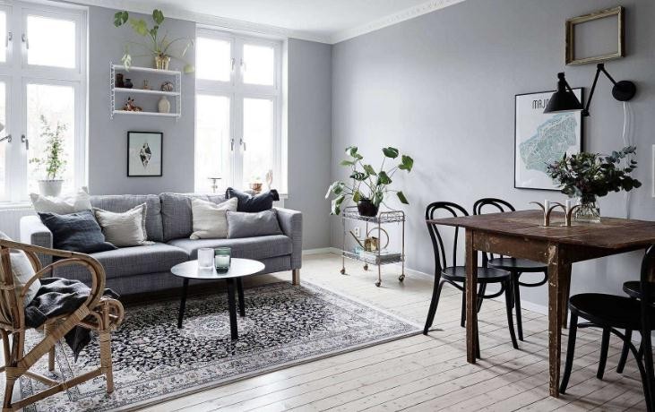 屋里太臭怎么去除味道