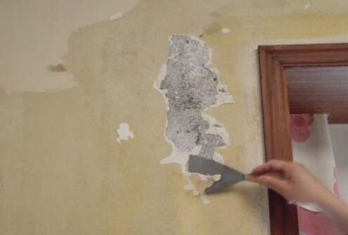 墻面发霉怎么自己翻新 墙面发霉
