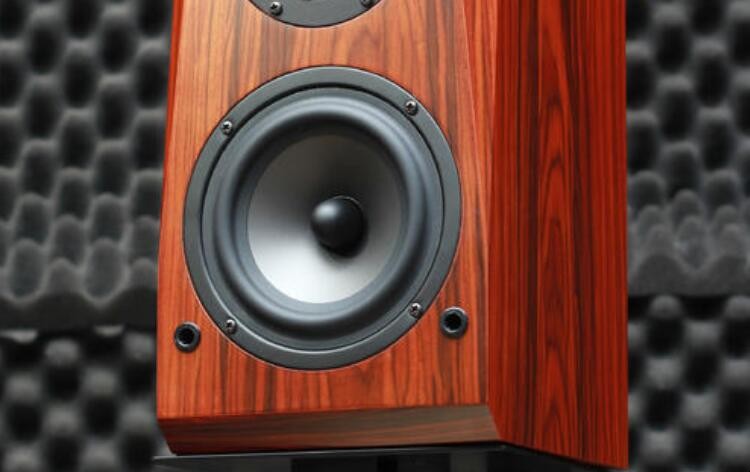 发烧音箱有什么特点 发烧音箱有什么特点