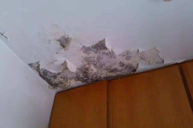 室内屋顶漏水