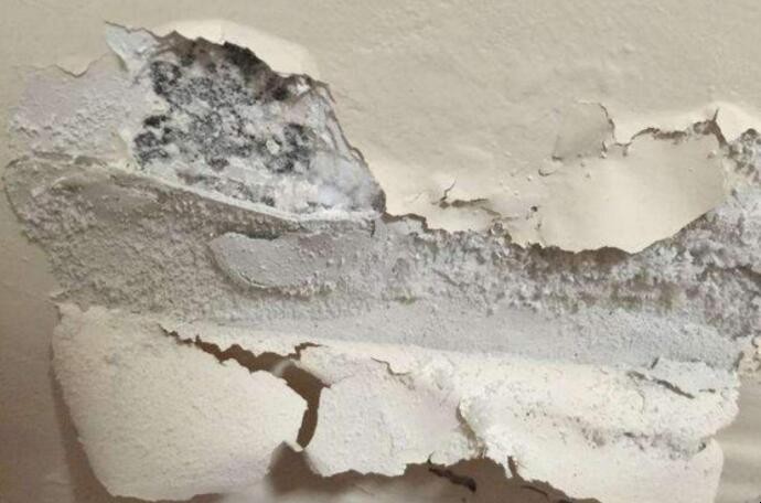 家里墻壁发霉怎么处理