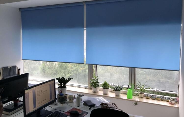 办公窗帘的种类有什么 卷帘