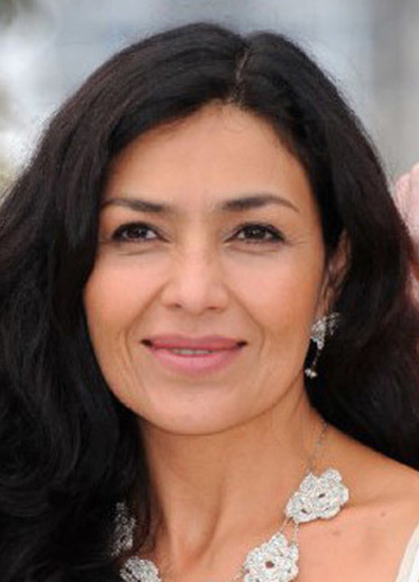 德洛丽丝·赫雷迪亚 Dolores Heredia 多萝丽丝·赫雷迪亚 