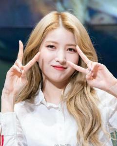 金韶情 所愿 素晶 腿队 김소정 Kim So Jeong