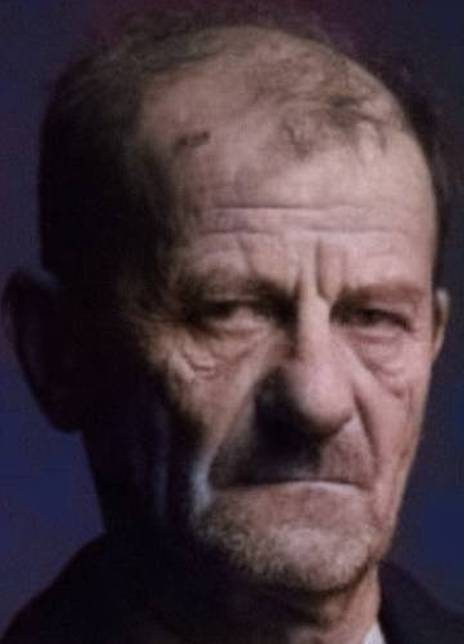 米克洛什·B·塞凯伊 Miklós B. Székely Szé kely Mikló s Mikló s B. Szé kely