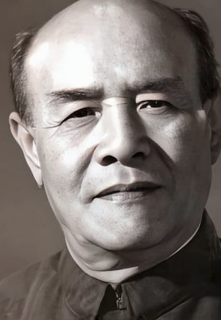 赵子岳 Ziyue Zhao 赵子岳 Ziyue Zhao