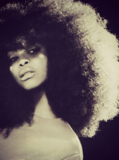 埃里卡·巴杜 Erykah Badu Erica Abi Wright